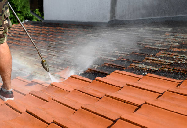 Best Best Pressure Washing Companies  in Laurel, FL