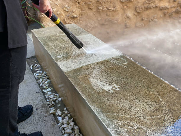 Best Roof Power Washing Services  in Laurel, FL