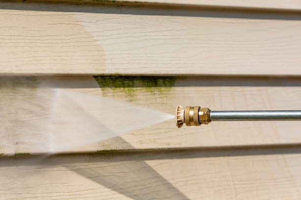 Best House Pressure Washing  in Laurel, FL