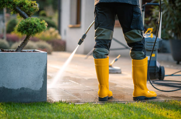 Best Pressure Washing Estimates  in Laurel, FL